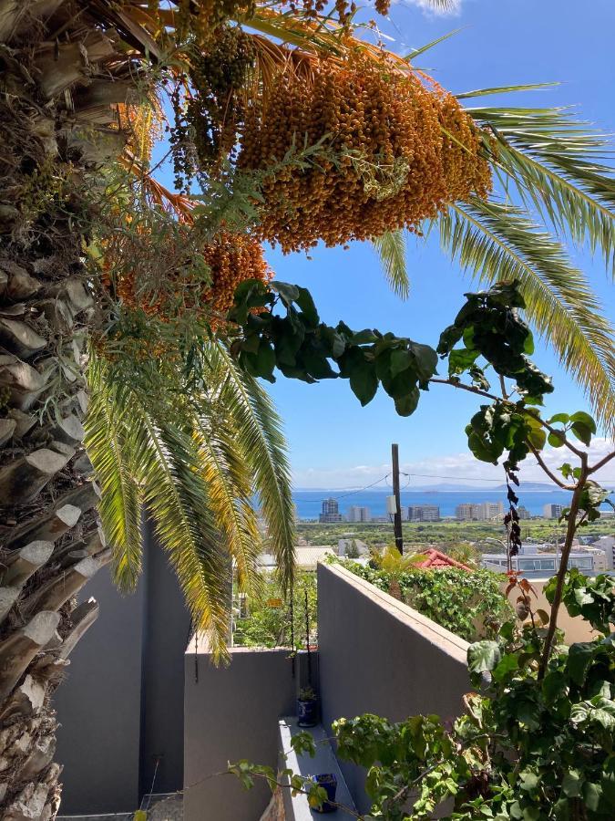 The Green Villa Città del Capo Esterno foto